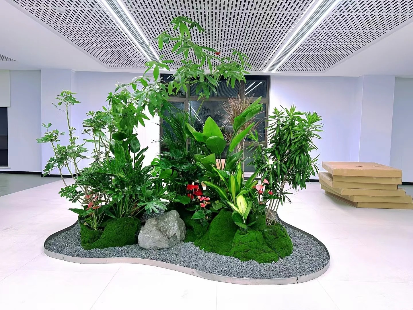 余姚盆景租摆,开启精致景观租赁新体验